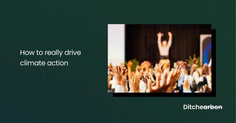 How to really drive climate action