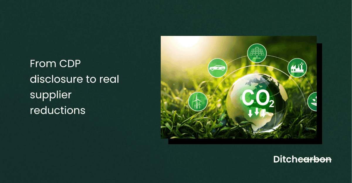 From CDP disclosure to real supplier reductions
