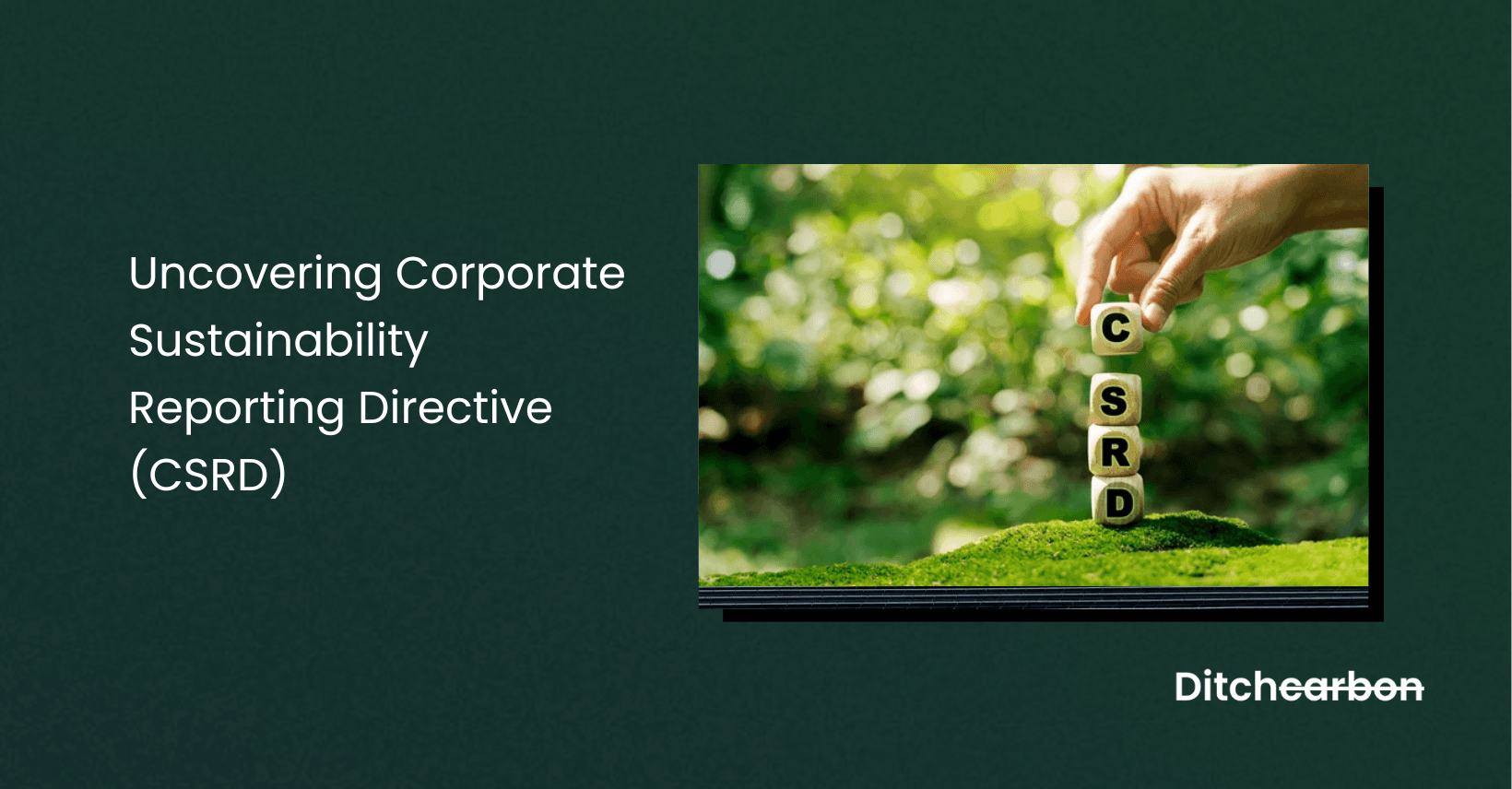 Guide to the Corporate Sustainability Reporting Directive (CSRD)