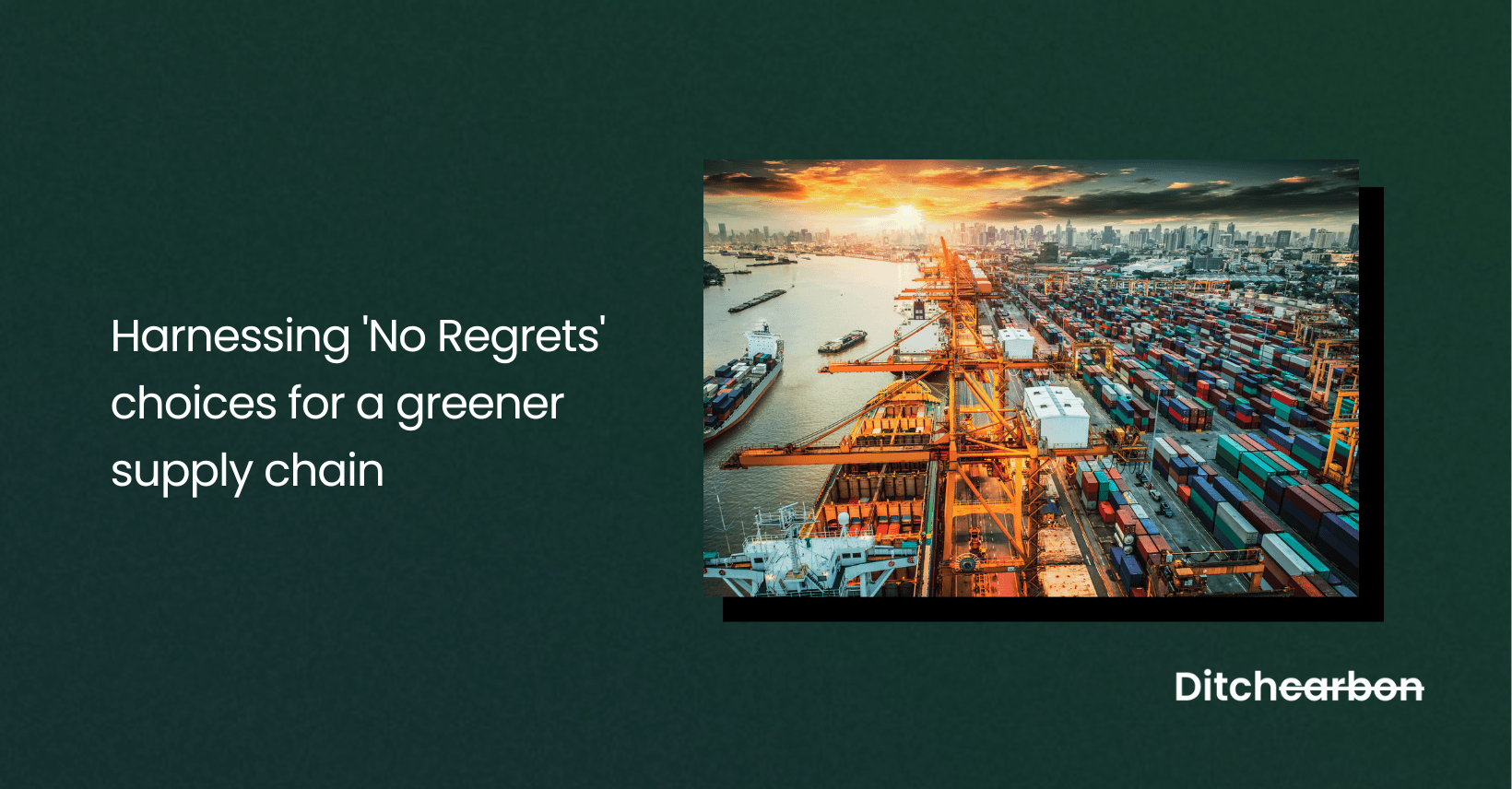 Harnessing the 'No Regrets' Choices for a Greener Supply Chain