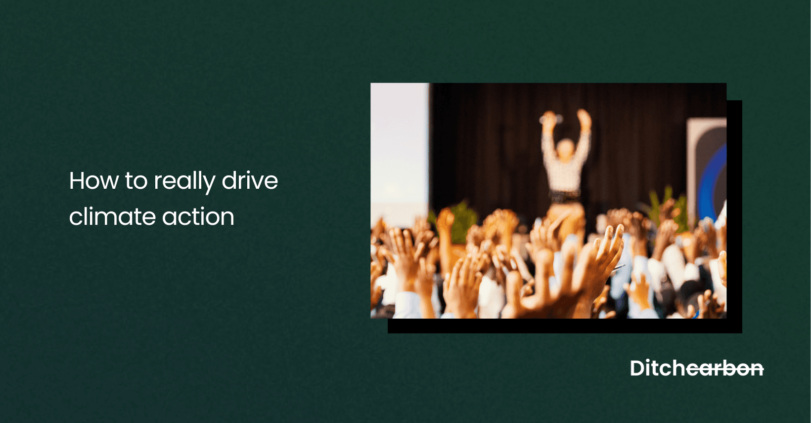 How to really drive climate action