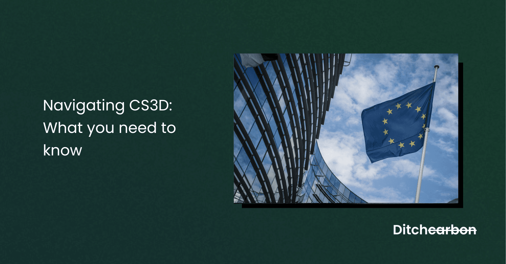 CS3D guide for businesses