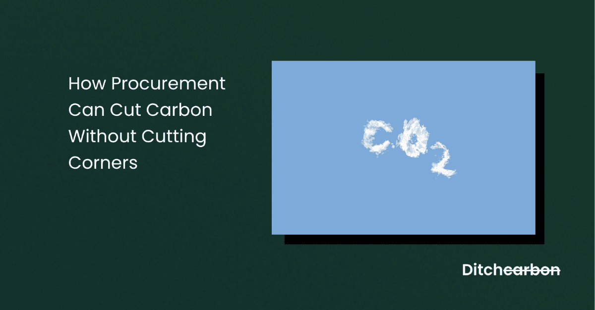 Procurement professional evaluating suppliers based on carbon performance