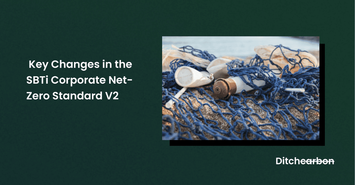Nautical equipment including ropes and buoys on a beach, symbolizing the navigation of net zero standards