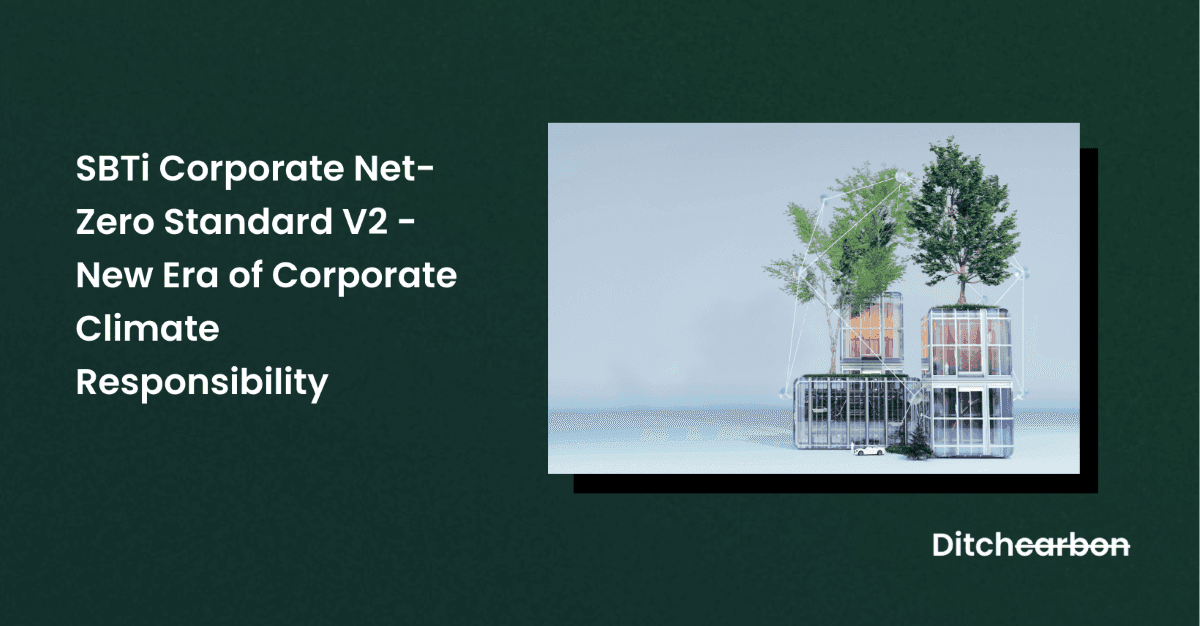 Nautical equipment including ropes and buoys on a beach, symbolizing the navigation of net zero standards