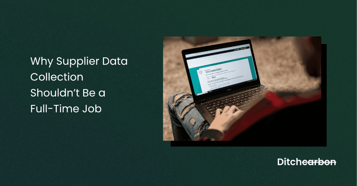 Sustainability professional working with streamlined supplier data collection system