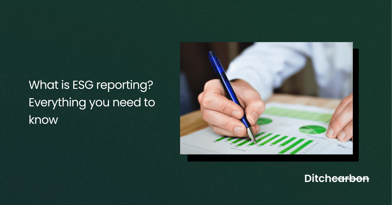 The Ultimate Guide to ESG Reporting: From Basics to Best Practices