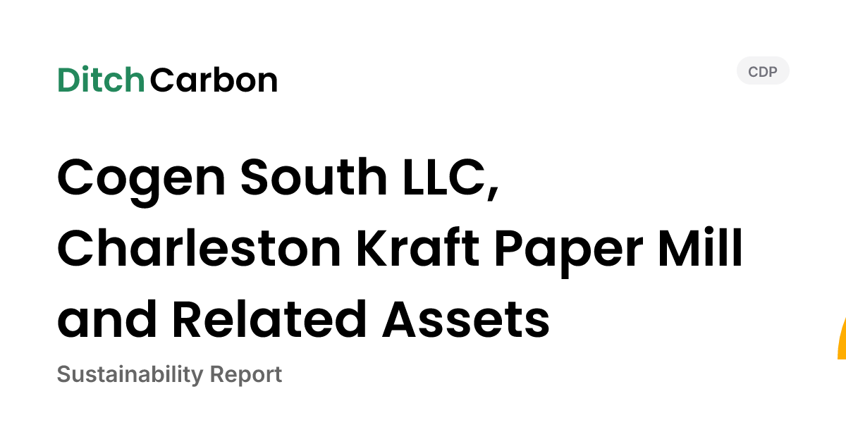 Cogen South LLC, Charleston Kraft Paper Mill and Related Assets ...